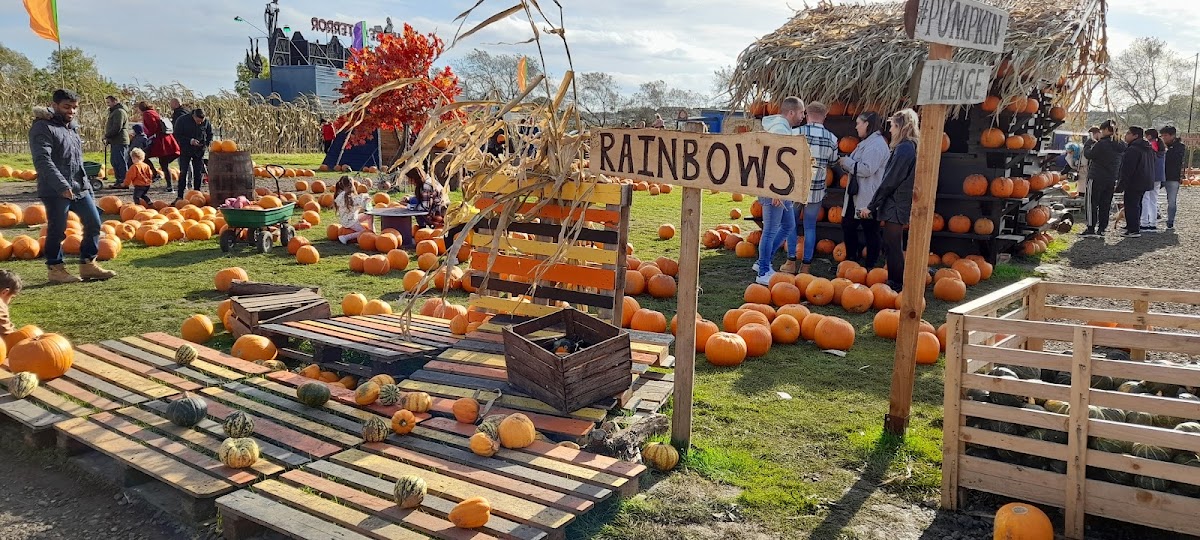 Pumpkin Picking Village — pumpkin patch photo 3
