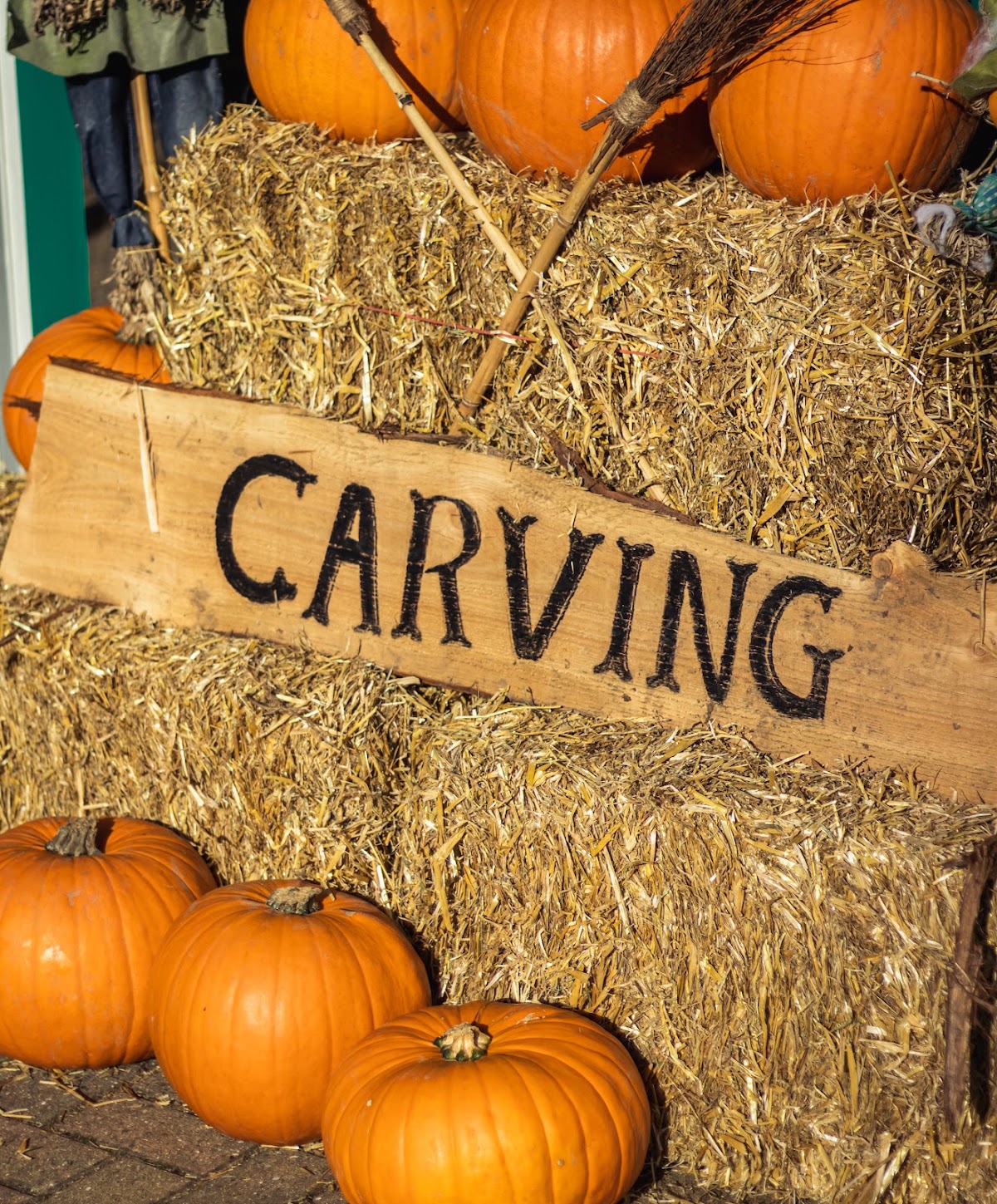 Pumpkin Picking Village — pumpkin patch photo 5