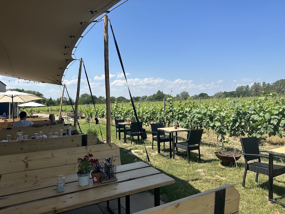 Skylark Pumpkin Patch at Prettyfields Vineyard — pumpkin patch photo 2