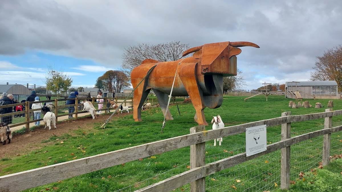 Cotswold Farm Park — pumpkin patch photo 5
