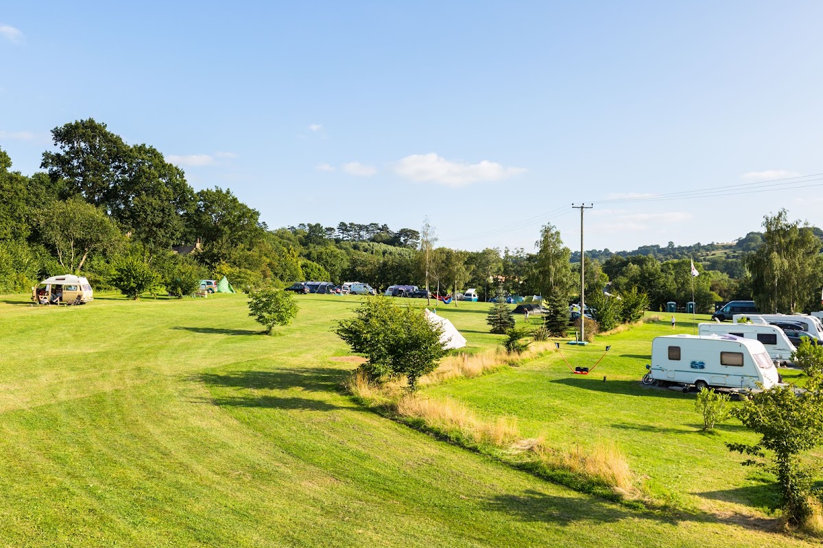 Hayles Fruit Farm — pumpkin patch photo 5