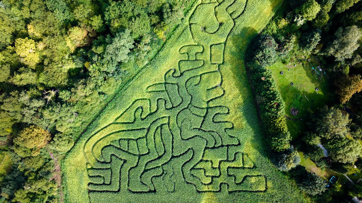 Beck Evans Farm — pumpkin patch photo 4