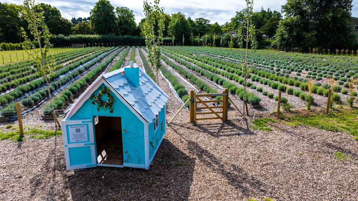 Beck Evans Farm — pumpkin patch photo 5