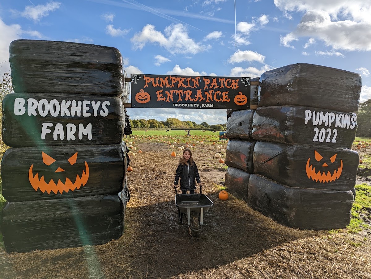 Brookheys Farm — pumpkin patch photo 2