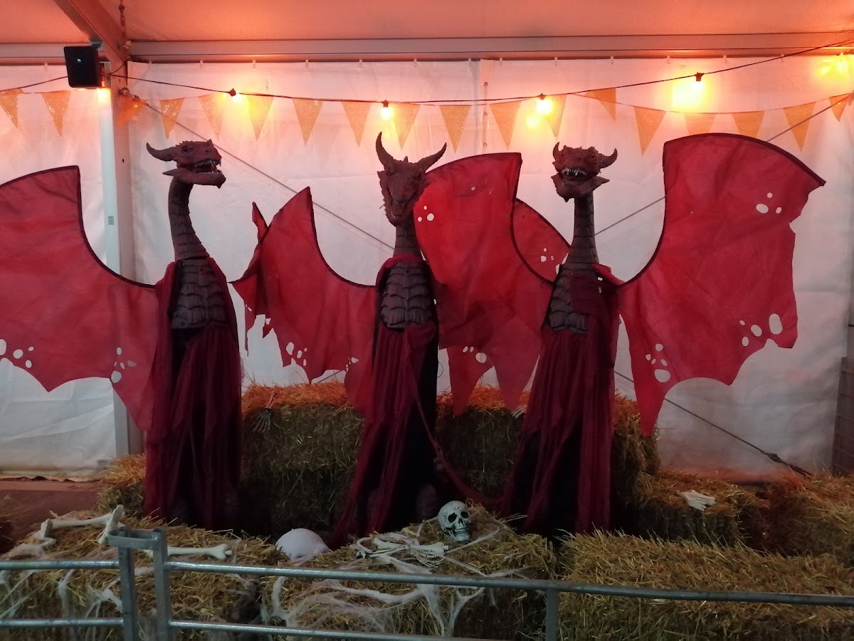 Sunnyfields Farm — pumpkin patch photo 5