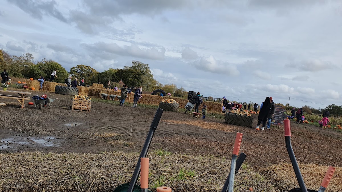 The Rotherwick Patch — pumpkin patch photo 5