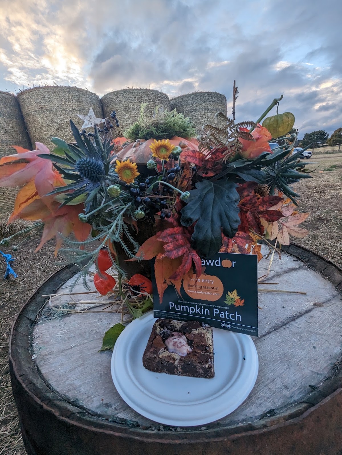 The Cawdor Patch — pumpkin patch photo 2