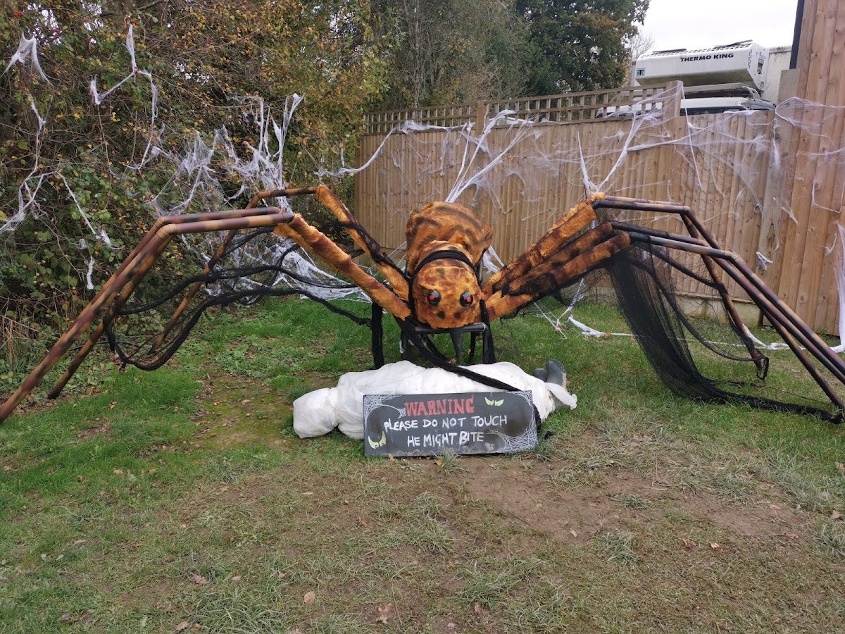 Lower Ladysden Farm — pumpkin patch photo 5