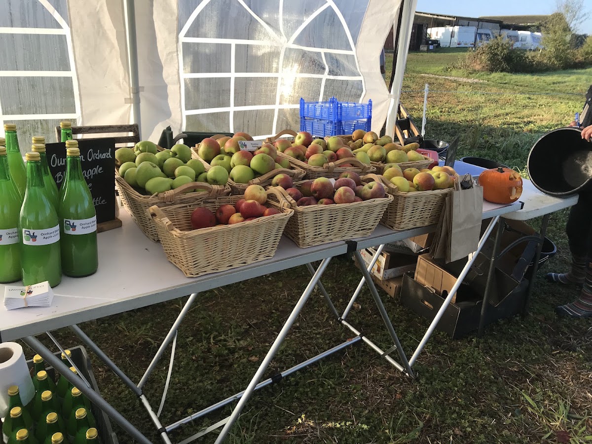 Meopham PYO — pumpkin patch photo 2