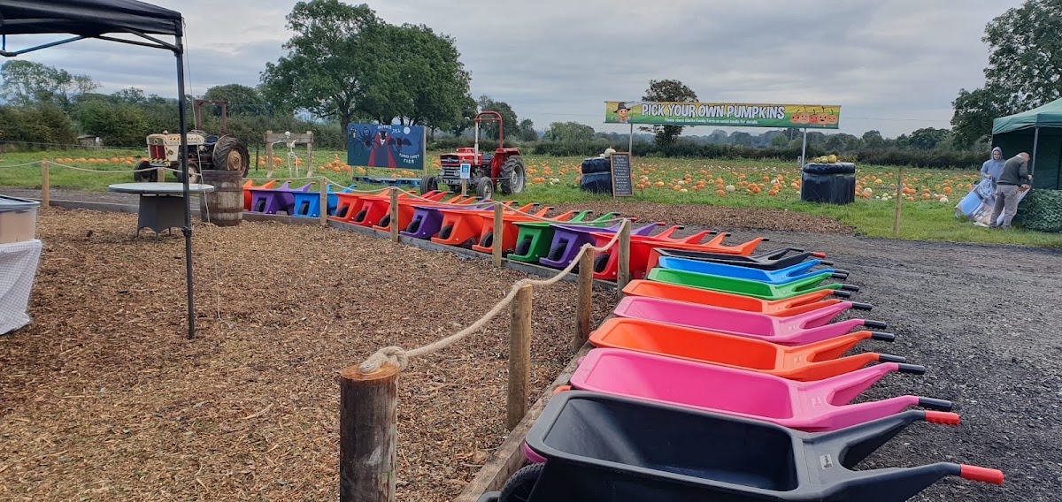 Clarks Family Farm — pumpkin patch photo 3
