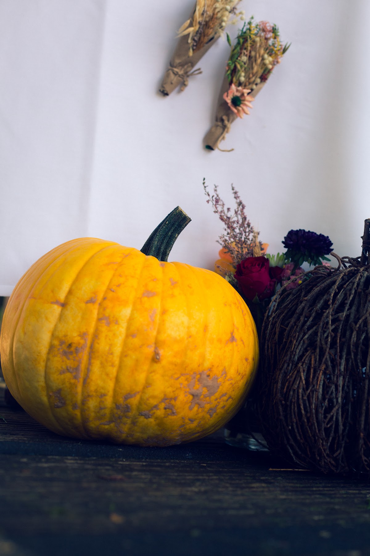 Holmeswood Pumpkin Place (Holmeswood Flower Farm) — pumpkin patch photo 2