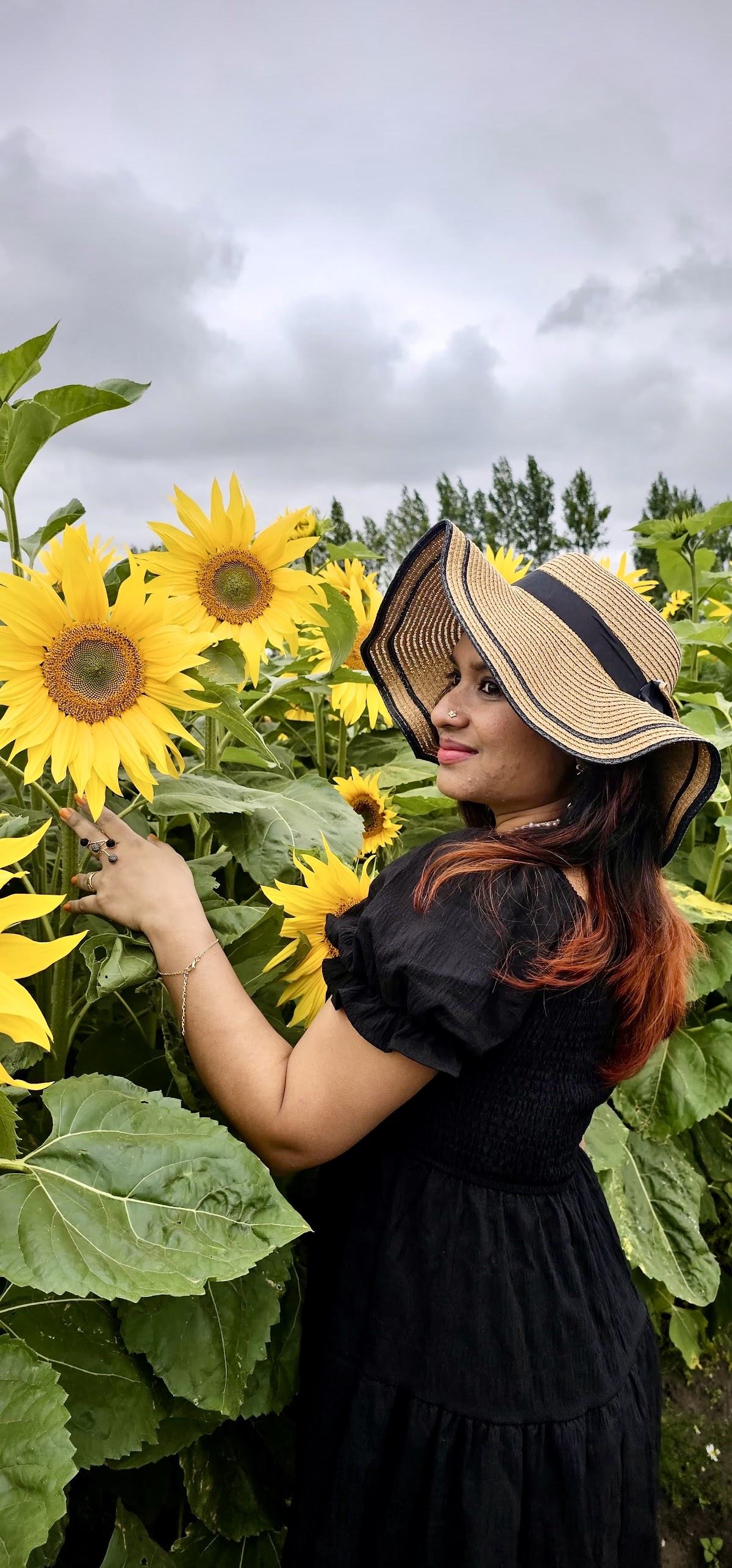 Holmeswood Pumpkin Place (Holmeswood Flower Farm) — pumpkin patch photo 5