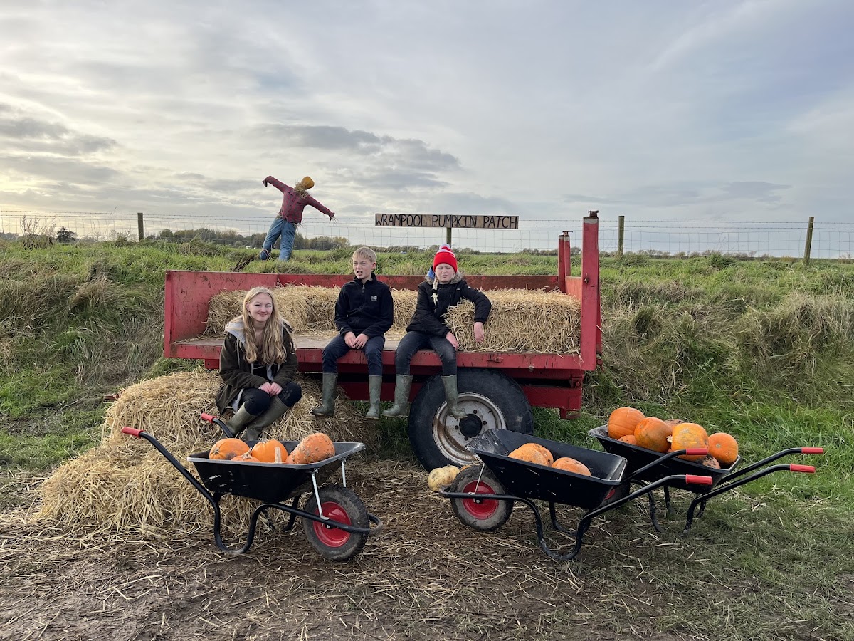 Wrampool Farm — pumpkin patch photo 3