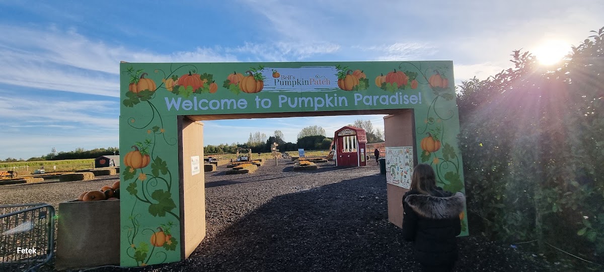 Bell's Pumpkin Patch