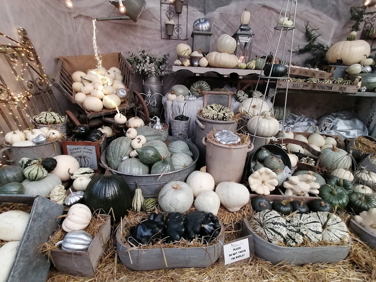 Bell's Pumpkin Patch — pumpkin patch photo 2