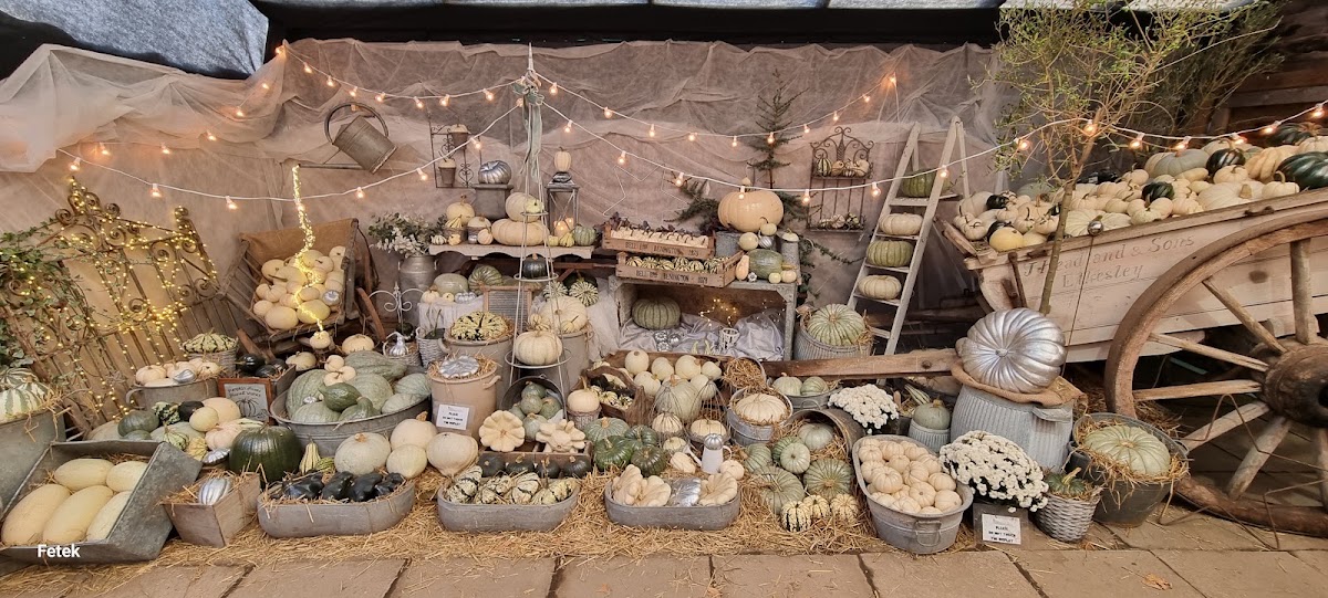 Bell's Pumpkin Patch — pumpkin patch photo 5