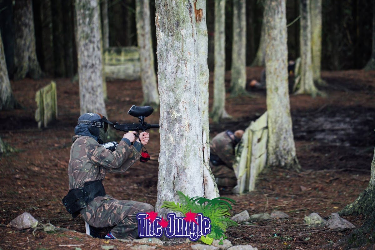 The Jungle NI (Hallowee'uns) — pumpkin patch photo 4