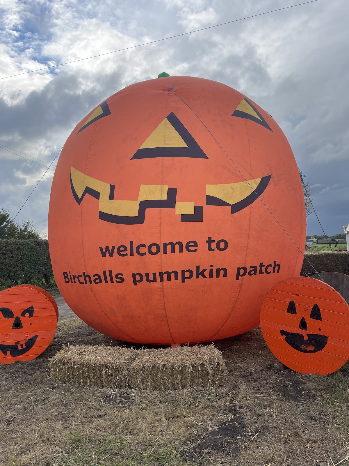 Birchall's Pumpkin Patch — pumpkin patch photo 4