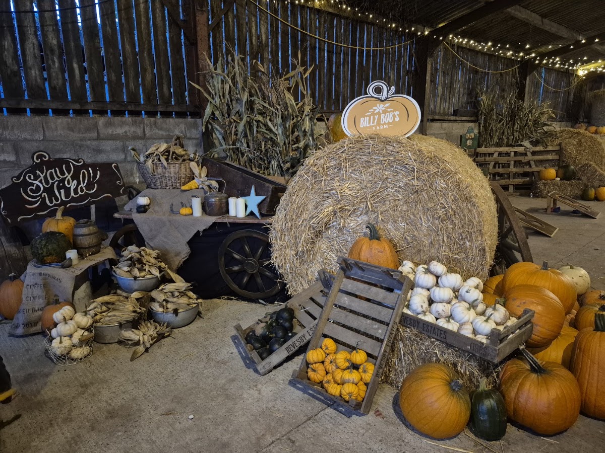 Billy Bob's Pumpkin Patch
