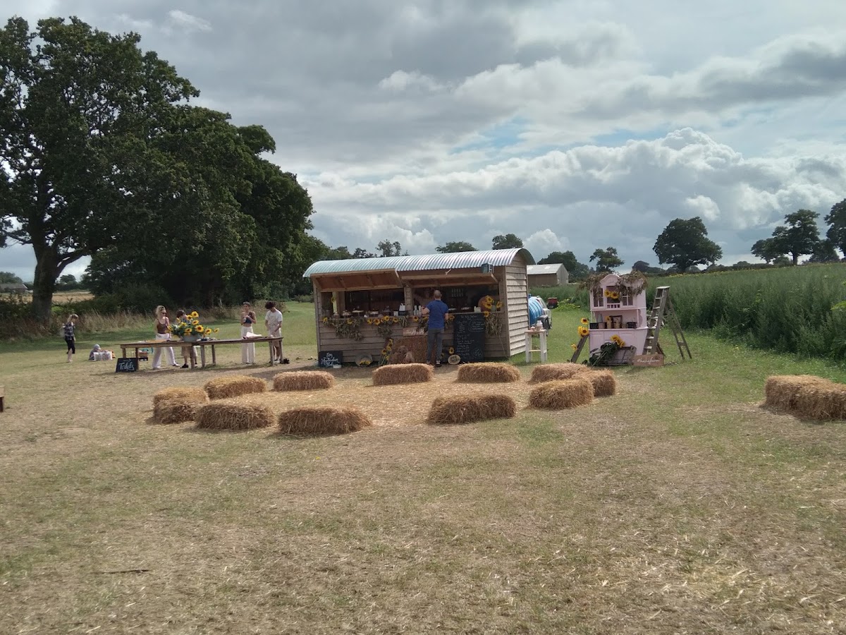Ha Ha Farm Pumpkin Patch — pumpkin patch photo 2