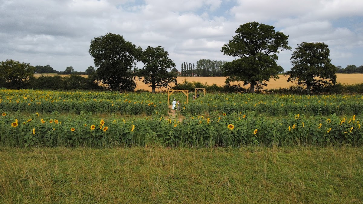 Ha Ha Farm Pumpkin Patch — pumpkin patch photo 3