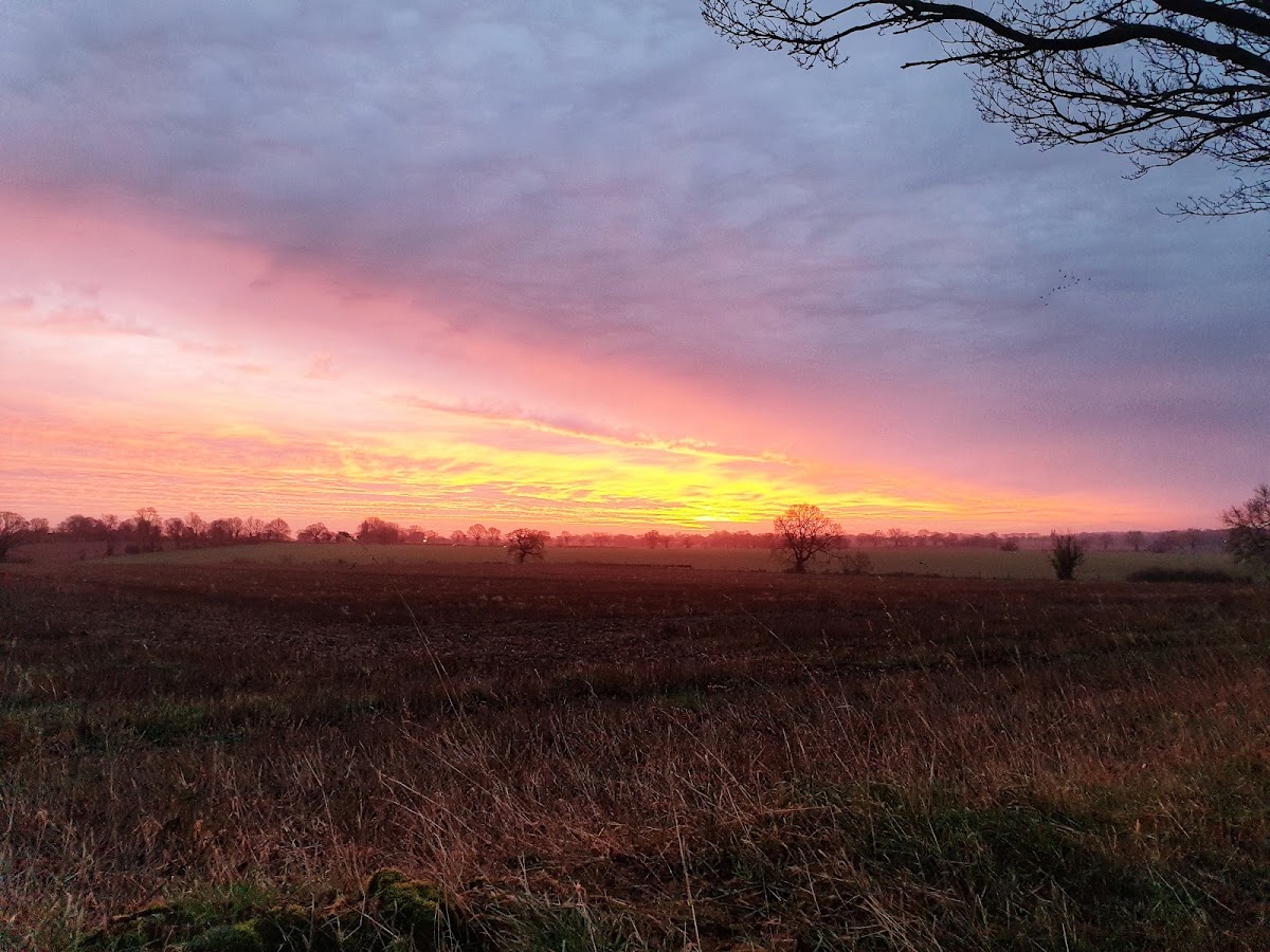 Ha Ha Farm Pumpkin Patch — pumpkin patch photo 4