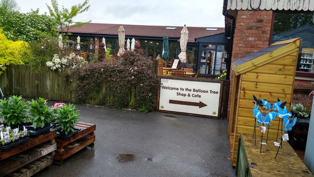 The Balloon Tree Farm Shop