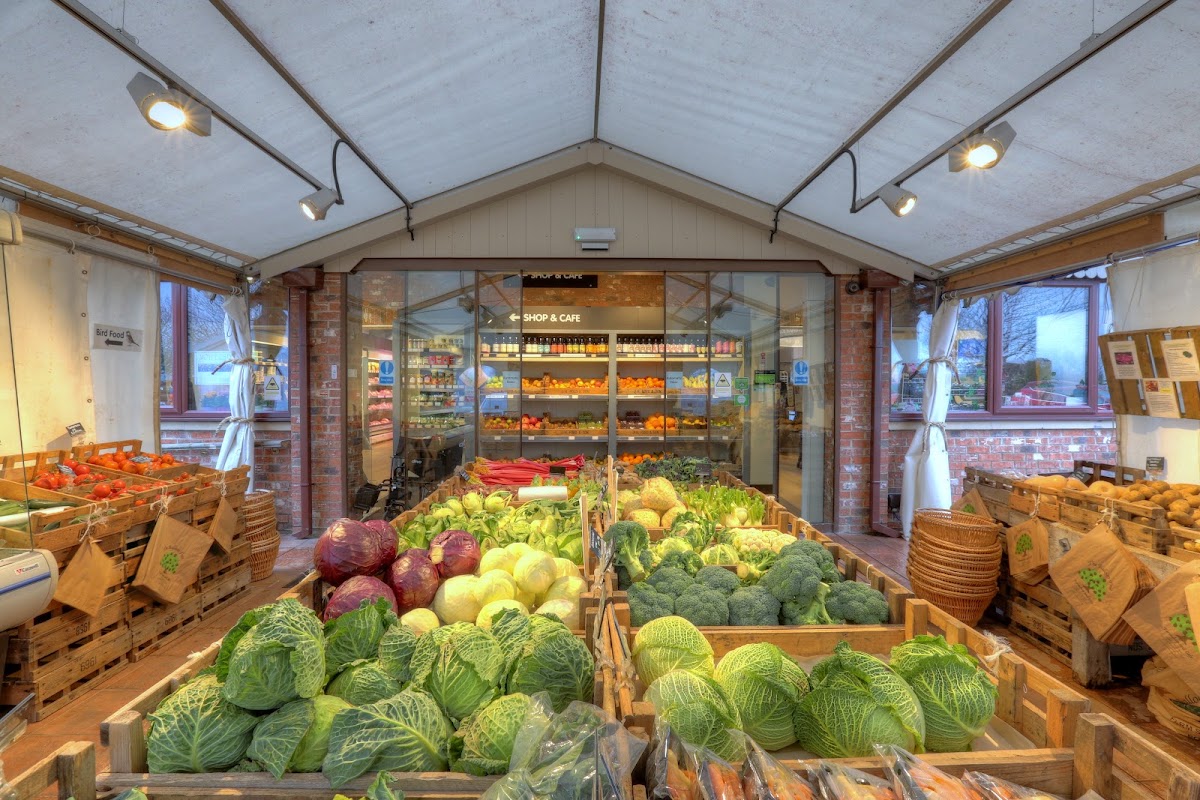 The Balloon Tree Farm Shop — pumpkin patch photo 3