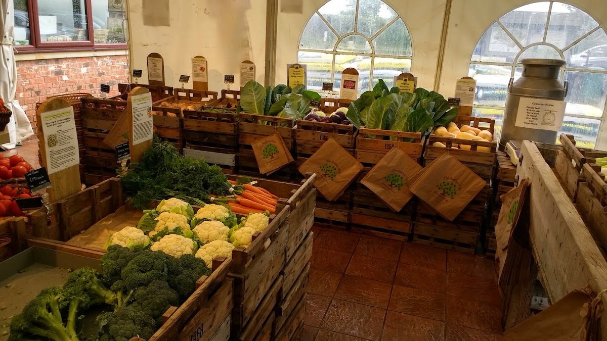 The Balloon Tree Farm Shop — pumpkin patch photo 5