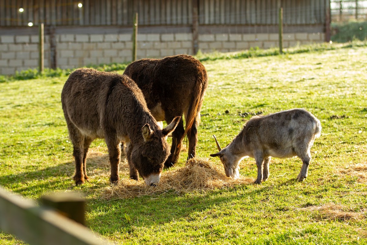 Wappenham Farm