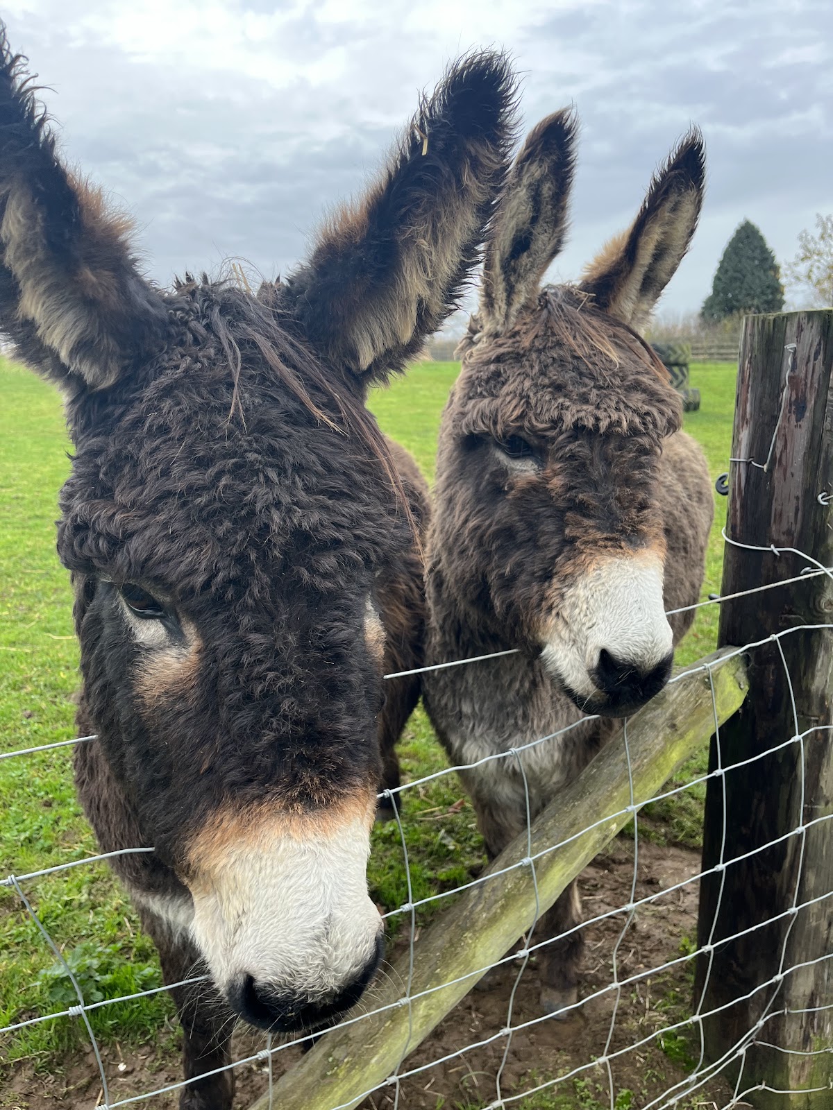 Wappenham Farm — pumpkin patch photo 3