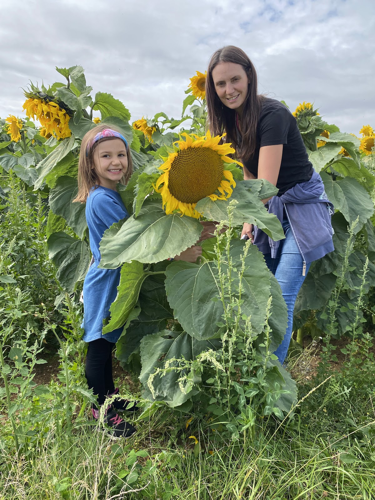 Wappenham Farm — pumpkin patch photo 4