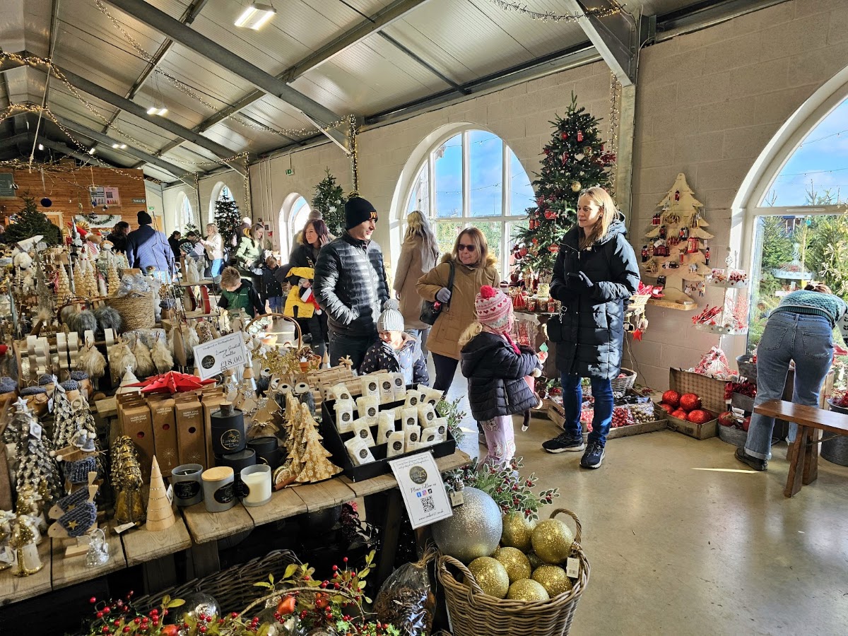 Welford Christmas Tree Farm — pumpkin patch photo 2
