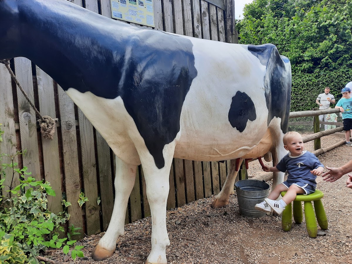 West Lodge Farm Park — pumpkin patch photo 5
