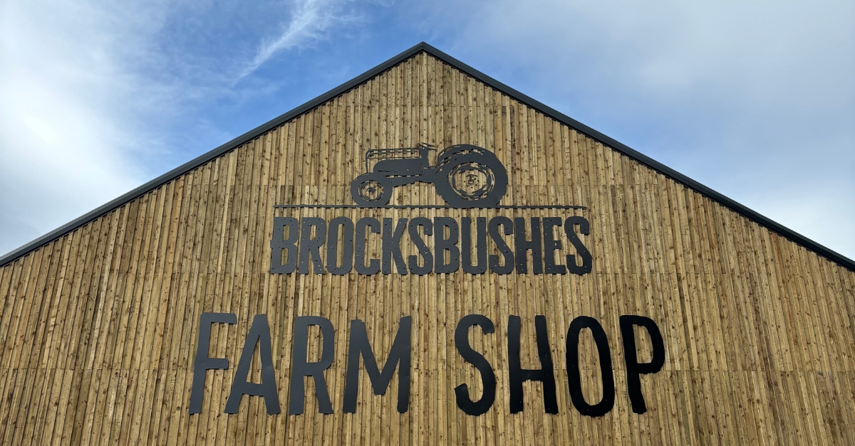 Brocksbushes Farm — pumpkin patch photo 5