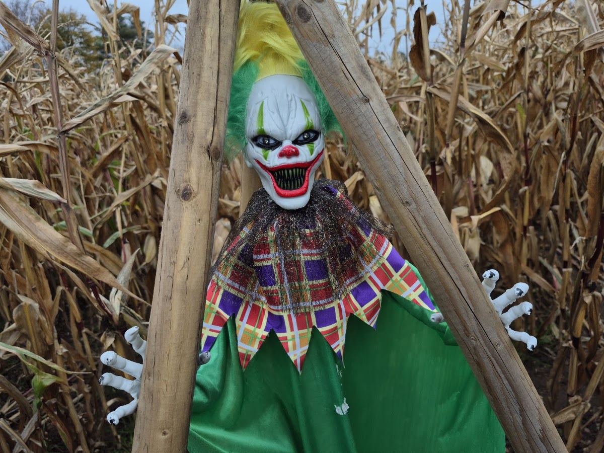 Oscar's Pumpkin Patch