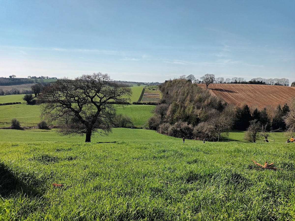 Hadsham Farm