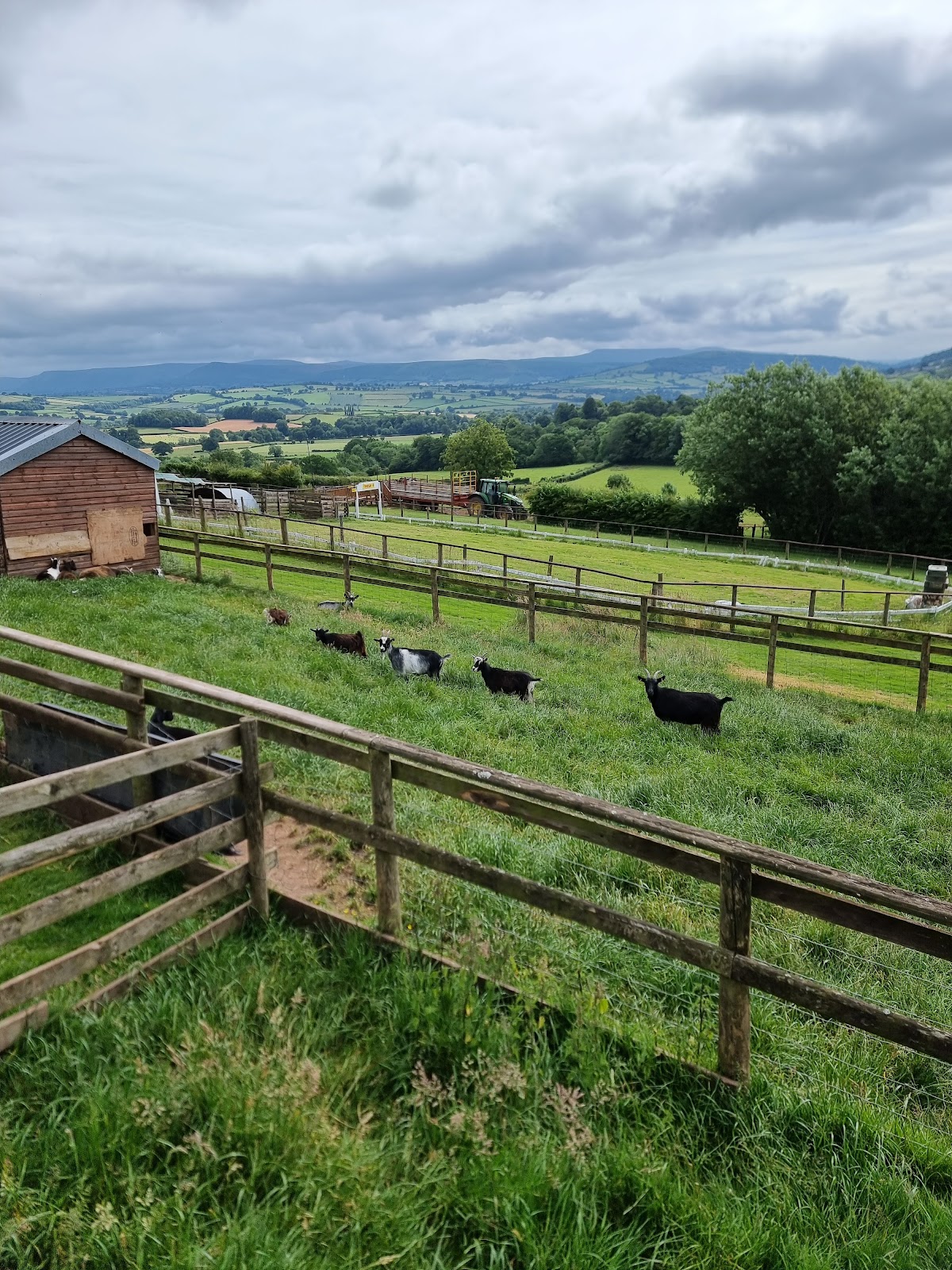Cantref Adventure Farm — pumpkin patch photo 3