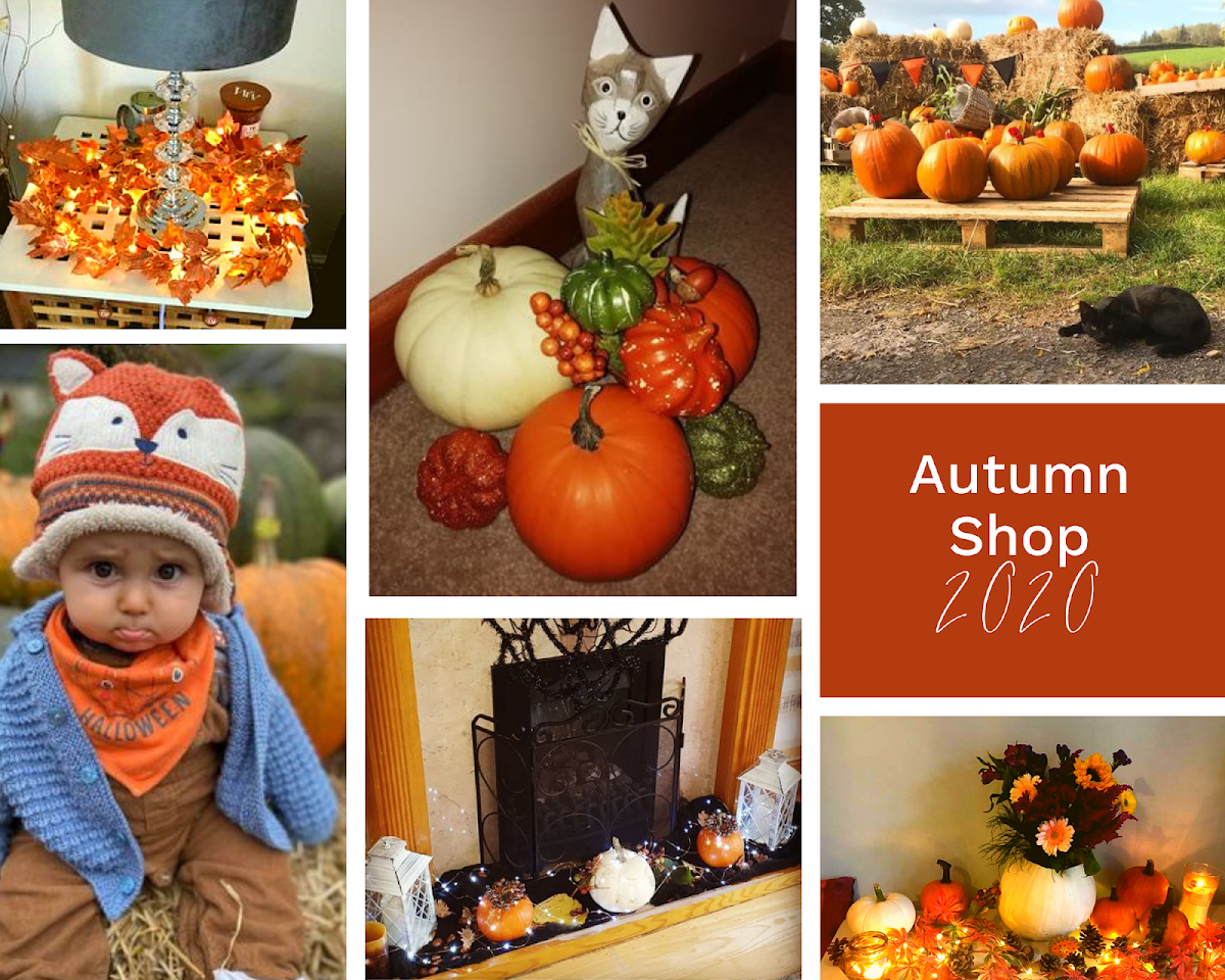 Copper & Holly Pumpkin Patch — pumpkin patch photo 2
