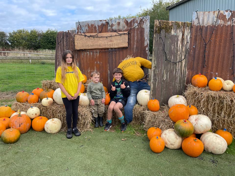 Copper & Holly Pumpkin Patch — pumpkin patch photo 3