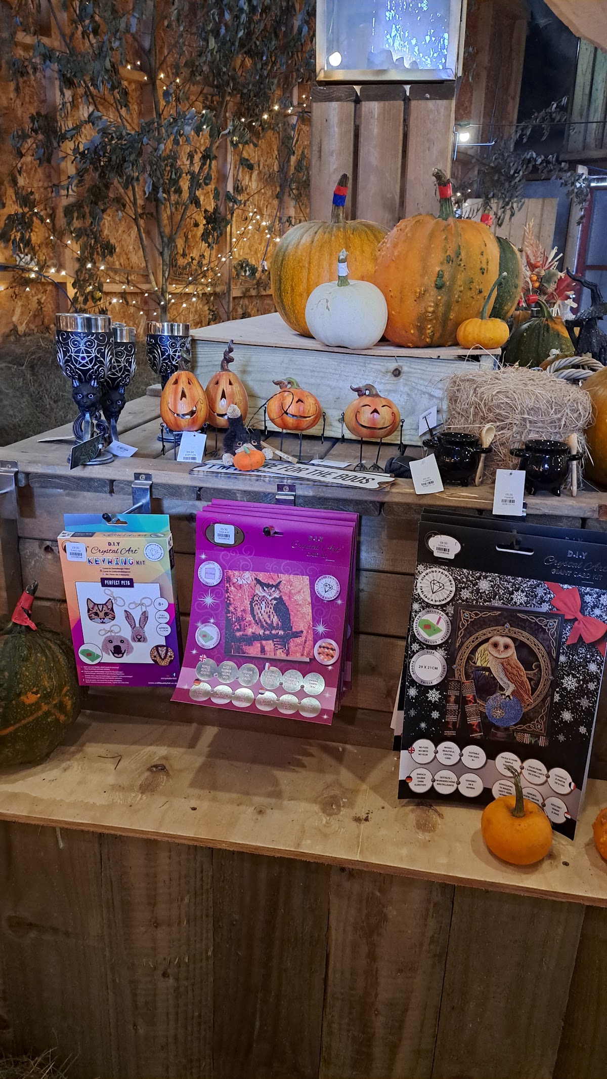 Copper & Holly Pumpkin Patch — pumpkin patch photo 4