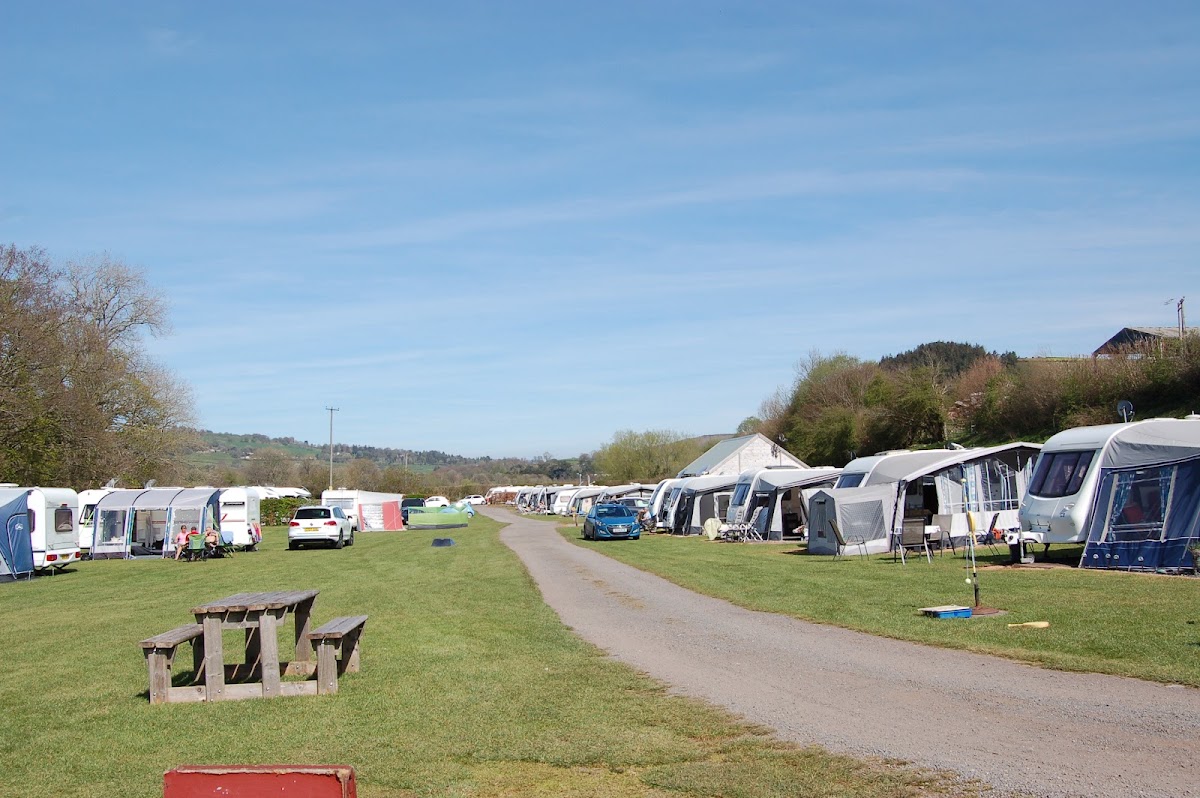 Matthews Pumpkin Patch at Aberbran Fawr Farm — pumpkin patch photo 2