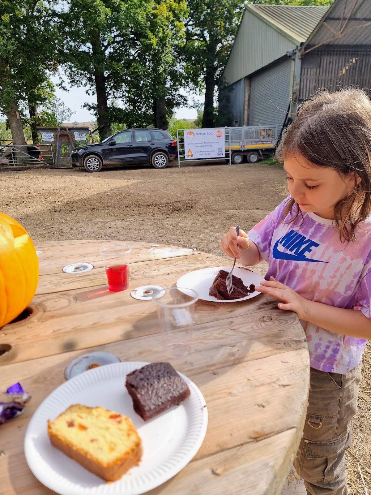Ketton Pumpkins — pumpkin patch photo 5