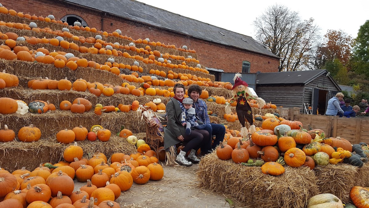 Llynclys Hall Farm Shop