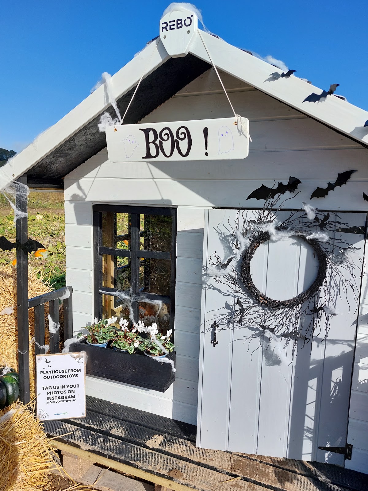 Llynclys Hall Farm Shop — pumpkin patch photo 5