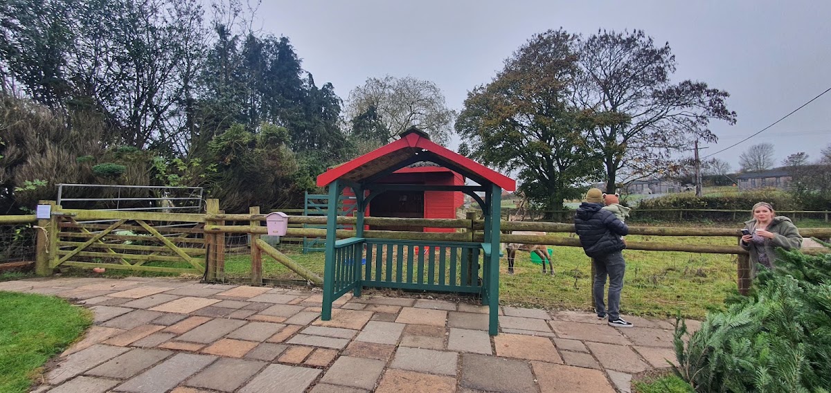 Winston Farm — pumpkin patch photo 5