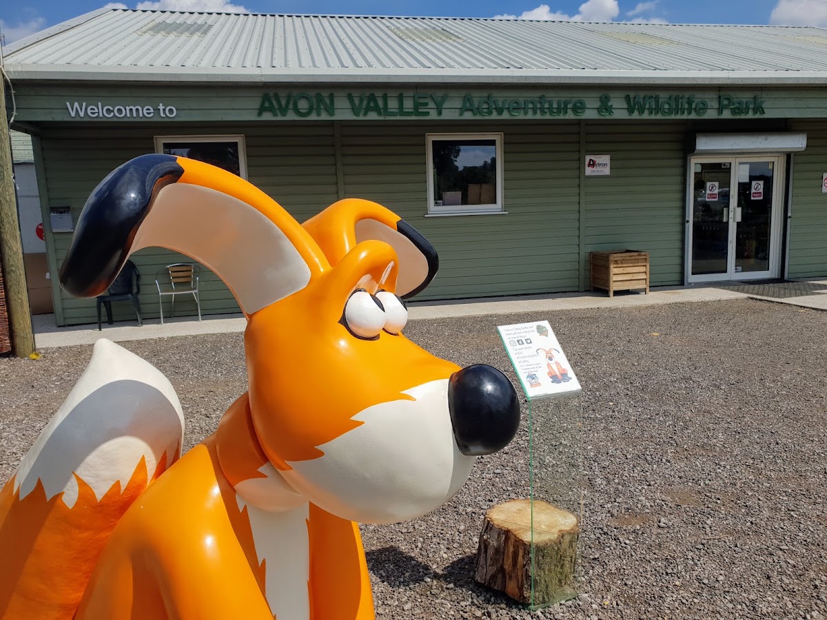 Avon Valley Adventure Park Pumpkin Patch — pumpkin patch photo 4