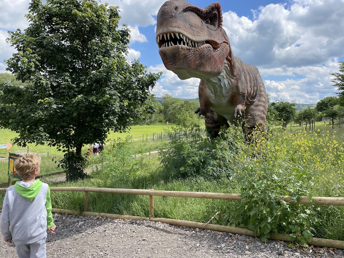 Avon Valley Adventure Park Pumpkin Patch — pumpkin patch photo 5