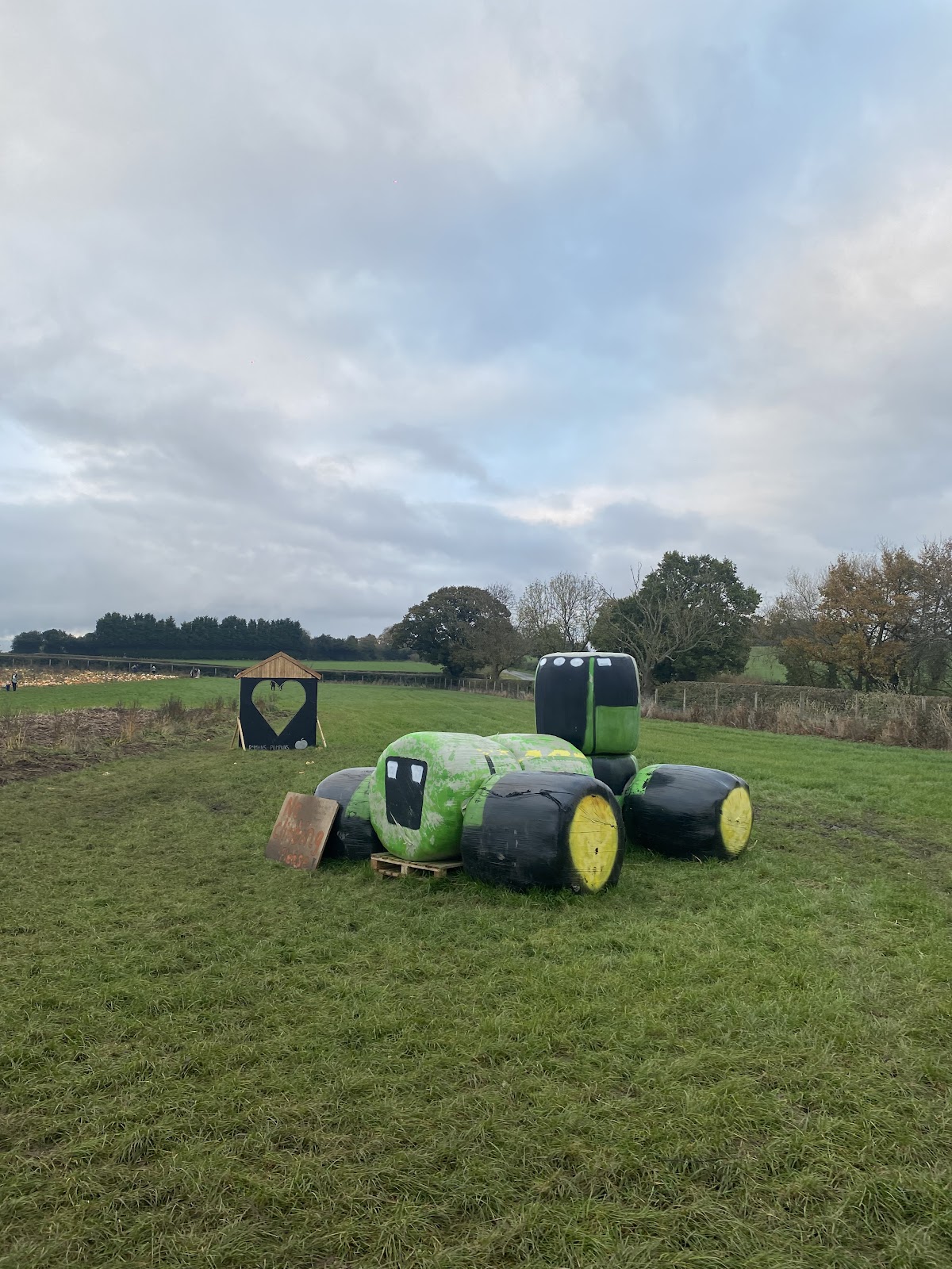 Ryman's Pumpkins — pumpkin patch photo 5