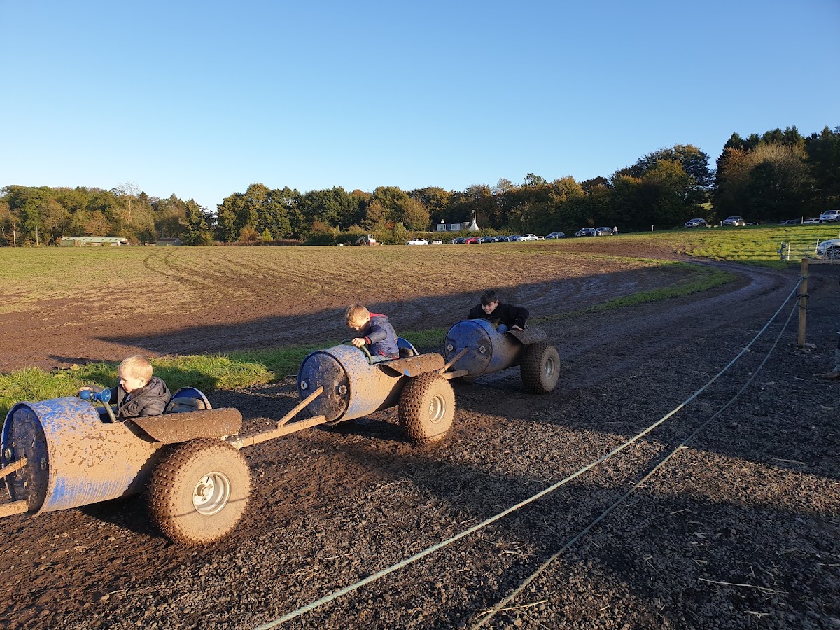 Arnprior Farm — pumpkin patch photo 2